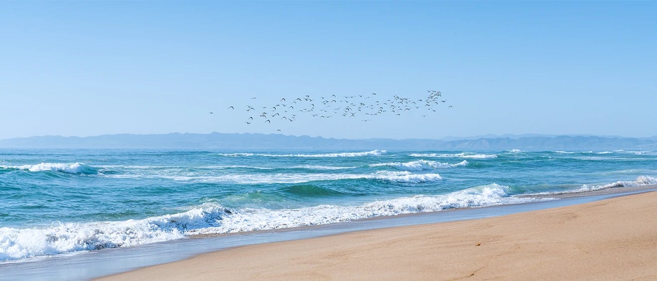 California coast on beach showing surfs up